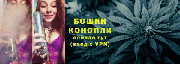 Альфа ПВП Белокуриха