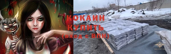 Альфа ПВП Белокуриха